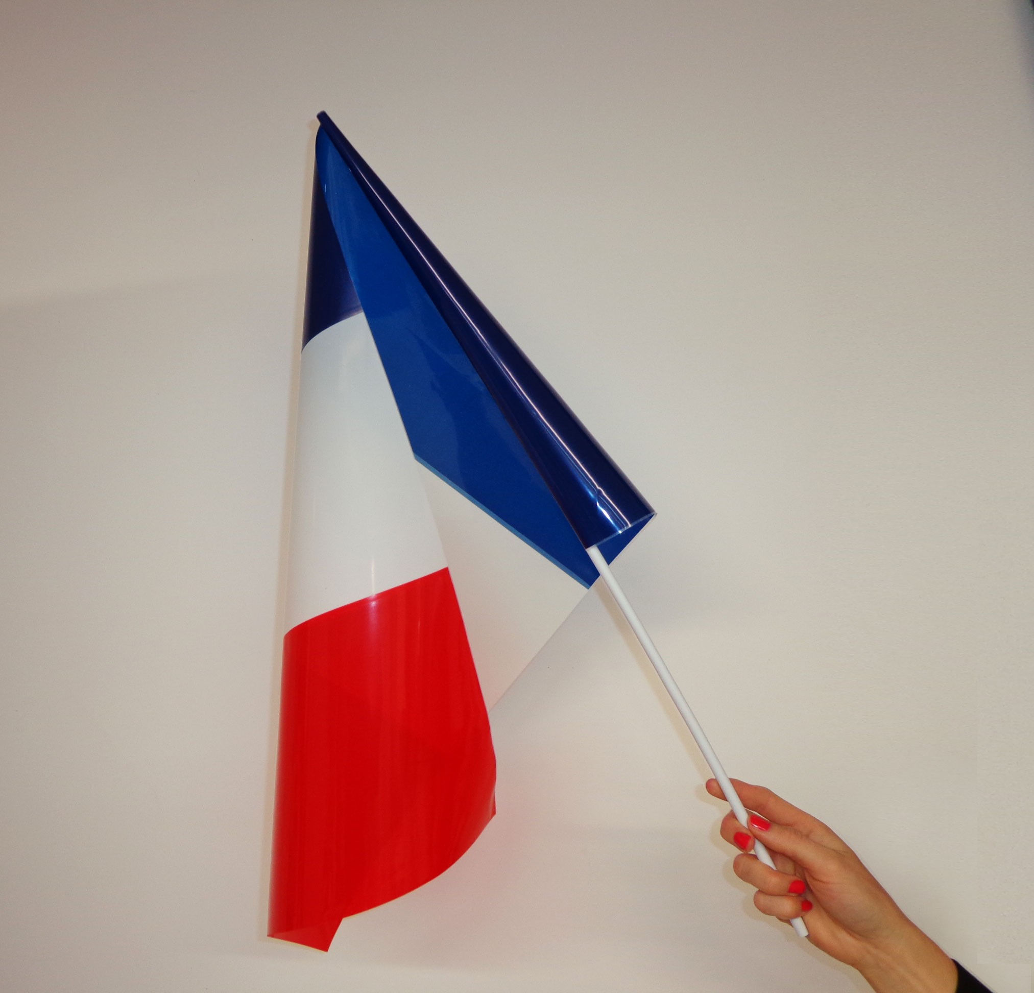 Lot de 10 drapeaux français supporter en plastique - DOUBLET