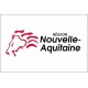 Drapeau Région Nouvelle-Aquitaine