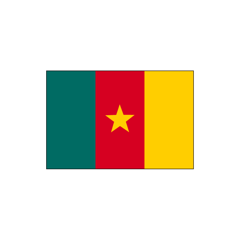 cameroun drapeau